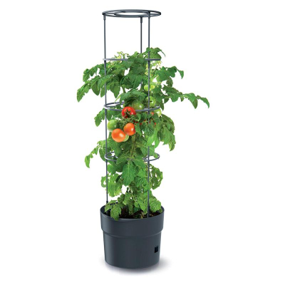 Саксија за домати Prosperplast Tomato, со решетка, 18L, темно сива