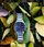 Orë dore Hugo Boss Aeroliner 1513183
