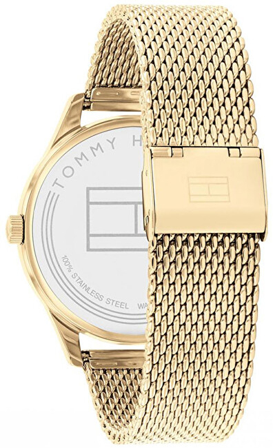 Orë dore Tommy Hilfiger Damon 1791848
