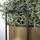 Mbajtëse vazo Vilde Flowerpot Plant Stand, metal 31 cm, diametër 15 cm, ari me të zezë