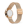 Orë dore për femra Daniel Wellington Crystalline Bezel Melrose DW00100823, ari rozë