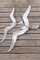 Skulpturë murale Americana Flying Seagull, alumin, 47 cm, argjendi