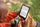 Lexues elektronik Amazon Kindle 2022, 6", 16GB, blu e errët