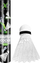Flutura badminton XQMAX Nylon, set 12 copë, e bardhë