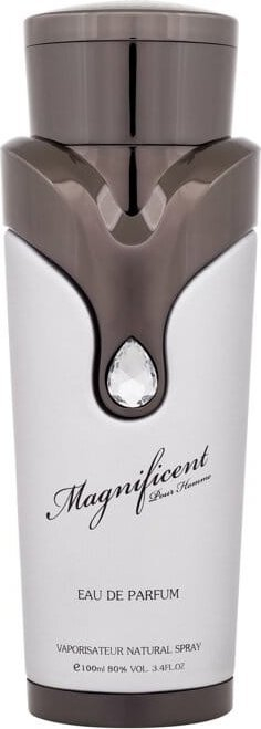 Parfum Armaf Magnificent Pour Homme, Eau de Parfum, 100ml