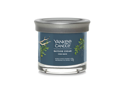 Qiri aromatik Yankee Candle Bayside Cedar, 122 g