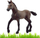 Figurine lodër Schleich Peruvian Foal, seri Horse Club, për fëmijë