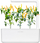 Билни капсули Click & Grow Yellow Chili, сет 3 парчиња, за Smart Garden, жолти
