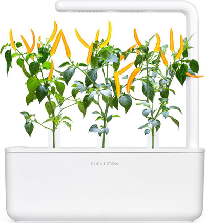 Билни капсули Click & Grow Yellow Chili, сет 3 парчиња, за Smart Garden, жолти