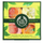 Set për trup The Body Shop