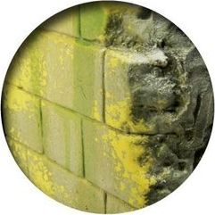 Bojë efektesh Vallejo Moss and Lichen, 40ml, efekt myshku dhe likeni, jeshile