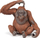 Figurë lodër Papo 50120, orangutan koleksionues, kafshë e egër, ngjyrë kafe