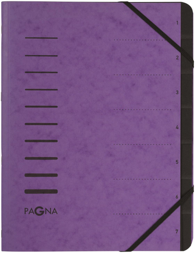 Dosje organizuese Pagna 40058Aa10, 7 ndarje, aubergine