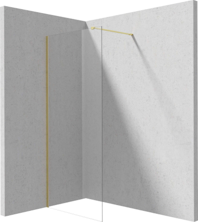 Mur dushi Deante KTJ R30P, walk in 100 cm, xham 6 mm, ari i fërkuar