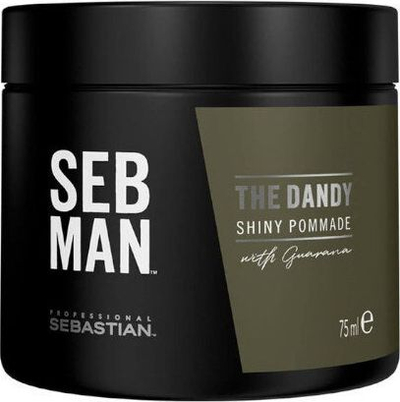 Pomadë flokësh Sebastian Professional Man The Dandy Shiny, 75ml, për burra, e zezë