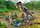 Set lodrash Playmobil Dinos 71524 T Rex, 46 pjesë, 4 10 vjeç, shumëngjyrësh