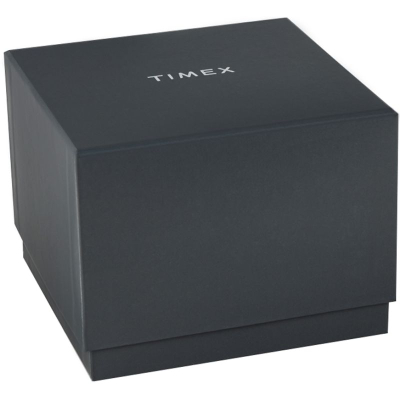 Ora burrash Timex Harborside Coast TW2Y05000, quartz, rezistente ndaj ujit 100m, blu