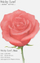 Shënime vetëngjitëse Appree Red Rose, 60 x 57mm, 20 fletë, të kuqe