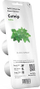 Kapsula bimesh Click & Grow Catnip, set me 3 copë, rimbushëse, jeshile