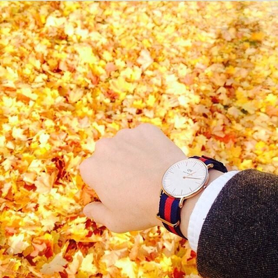 Orë dore Daniel Wellington H24-229