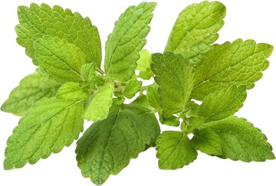Билни капсули Click & Grow Lemon Balm, сет 3 парчиња, за паметна градина, зелени