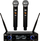 Set mikrofona wireless DNA DVS2, sistem UHF, me ekran LCD, i zi