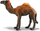 Figurinë lodër Collecta Dromedary Camel, deve njëgungëshe, plastike, shumëngjyrëshe