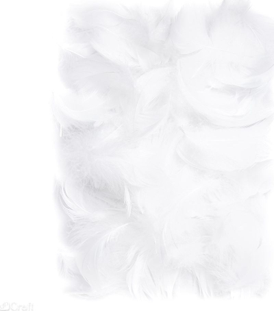 Pendla zbukuruese Feathers, 5-12 cm, 10 g, të bardha