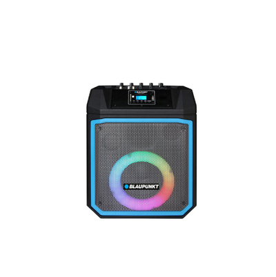 Altoparlant BLAUPUNKT MB06.2