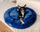 Shtrat qeni Mimiko Pets Shaggy, XXL 100cm, i rrumbullakët, blu