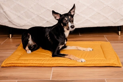 Dyshek për qen Velvet Mat, 100x70 cm, material velvet, mustard