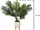 Bimë dekorative fallco Ceramic Palm me bazë druri H72, 60 cm, qeramike, bardh e gjelbër