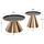 Set Lorme 2 tavolina kafe Φ50&Φ40cm (HM9923), zezë/ ari