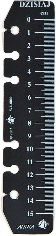 Vizore për organizues Second Ruler, 15 cm, e zezë