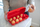 Kuti për vezë Koziol Eggs To Go Organic, 10 vezë, plastike, e kuqe