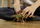 Figurë lodër Schleich Stegosaurus Dinosaurs, rreth 20 cm, shumëngjyrëshe