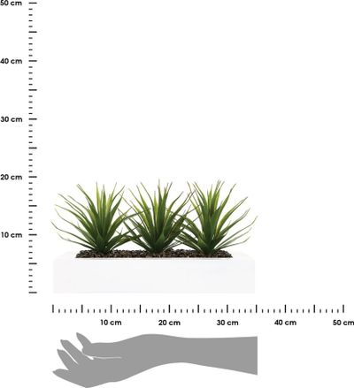 Vazo dekorative me bimë artificjale Aloe Vera, 3 fidane, 31x16x17 cm, jeshile