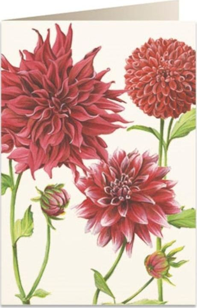 Kartolinë Tassotti B6 Red Dahlia, me zarf, me ngjyra