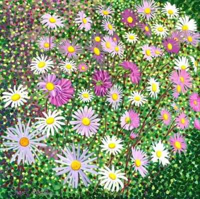 Kartolinë Susan Entwistle Asters, me zarf, shumëngjyrëshe