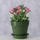 Vazo lulesh Boltze Home Juniper, porcelan, 15.7cm, jeshile