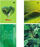 Fletore Promised Land Think Green B5, 96 faqe, me katrorë, set me 5 copë