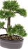 Bimë dekorative Emerald Cedar Bonsai, artificiale, 32 cm, jeshile