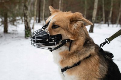 Maskë hekuri për qen PET NOVA MUZZLE METAL XL, përmasa XL, e zezë