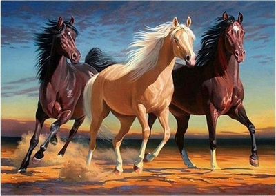 Mozaik me diamant Norimpex Horses, 5D, 40x30cm, shumëngjyrësh
