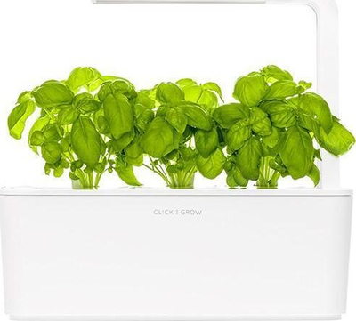 Pod për bimë Click and Grow borzilok, refill 3 copë, për kopshtin inteligjent