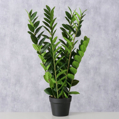 Bimë artificiale Boltze Home Zamioculcas, 76cm, në vazo, jeshile