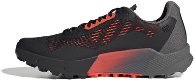 Atlete për meshkuj Adidas Terrex Agravic Flow 2 Gtx, nr. 43 1/3
