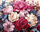 Set pikturimi Ideyka Painting by Numbers Luxurious Bouquet of Flowers, 40x50cm, me kanavacë
