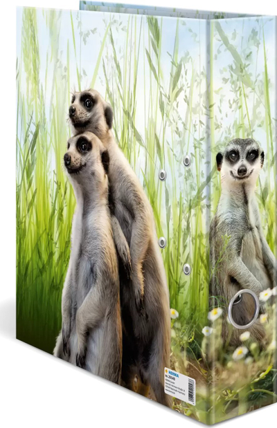 Dosje unazore HERMA Meerkat Exotic Animals, A4, shpinë 70mm