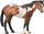Figurine Collecta Appaloosa Stallion, lodër edukative, shumëngjyrëshe